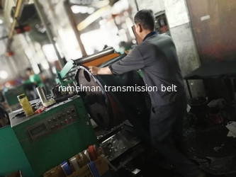 Ningbo Ramelman Transmission Technology Co., Ltd.