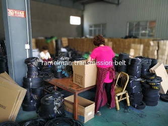 Ningbo Ramelman Transmission Technology Co., Ltd.