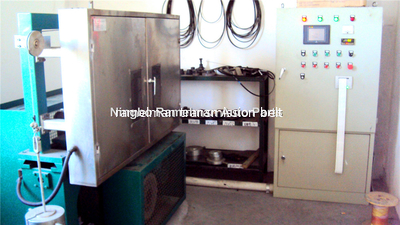 Ningbo Ramelman Transmission Technology Co., Ltd.