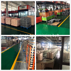 Ningbo Ramelman Transmission Technology Co., Ltd.
