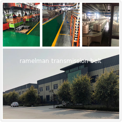 Ningbo Ramelman Transmission Technology Co., Ltd.