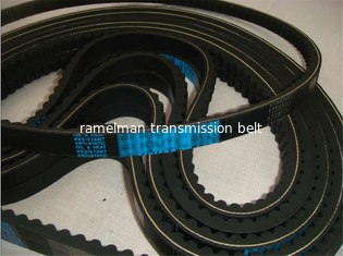 Auto v belt  fan belt vee belt OEM	5000988950/9933201170/967144/AVX13X1075 COGGED V BELT  Ramelman timing belt