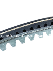 Timing belt Auto v belt  OEM AVX10X1005/6112414/9832114/90231797/575020 cogged v belt fan belt Ramelman v belt