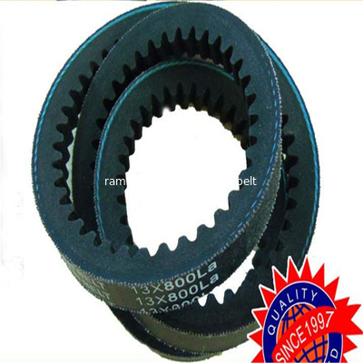 Cinturón automático de velocidad AVX13X875/99436608/0811818381/0069976492 Cinturón automático de velocidad Ramelman