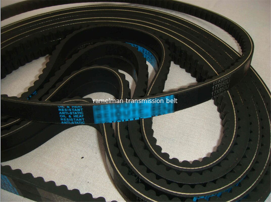Auto v belt  fan belt vee belt OEM	5000988950/9933201170/967144/AVX13X1075 COGGED V BELT  Ramelman timing belt