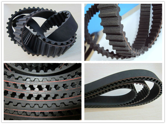 Hot sale OEM 1 037 149/137ZBS25  for Ford AUDI VW  power transmission belt engine timing belt ramelman auto spare parts