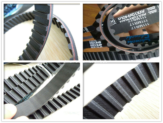 Hot sale OEM 1 037 149/137ZBS25  for Ford AUDI VW  power transmission belt engine timing belt ramelman auto spare parts