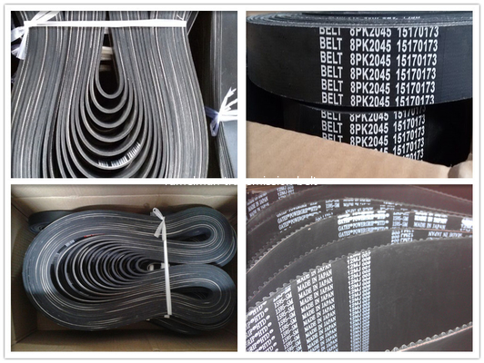 Correa acanalada múltiple EPDM OEM 500341808/12PK1814 para IVECO, correa de transmisión de potencia, correa de motor, correa de ventilador, correas Ramelman