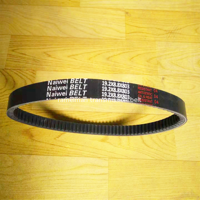 Las piezas de repuesto para automóviles cinturón de ventilador cinturón de Vee OEM 9091602113/1192001M01/AVX13X800/MB553430 COGGED V BELT cinturón Ramelman